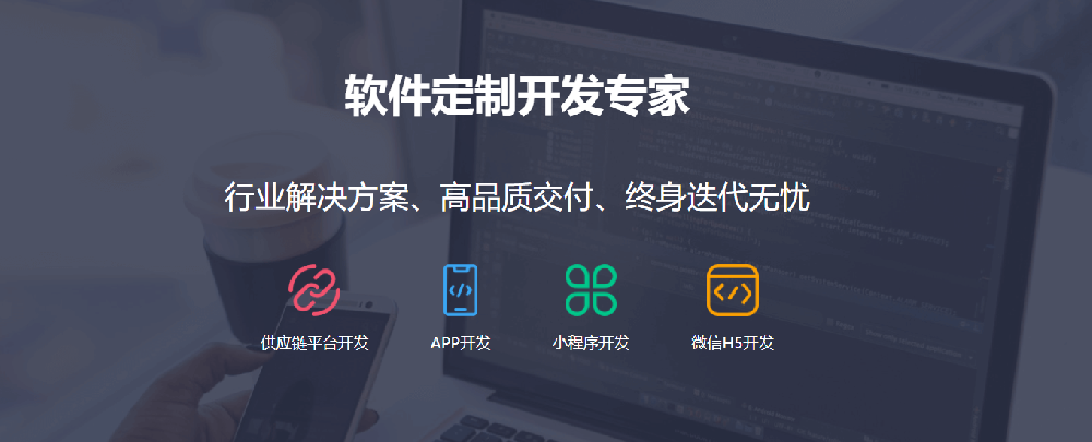 軟件定制開發服務